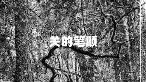 關(guān)的筆順