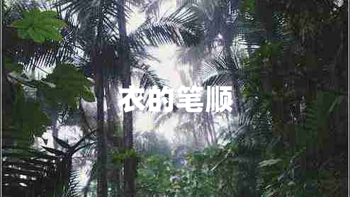 衣的筆順