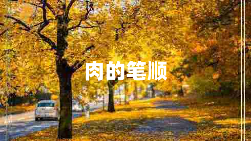 肉的筆順