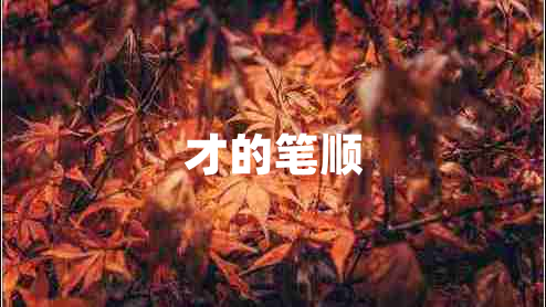 才的筆順