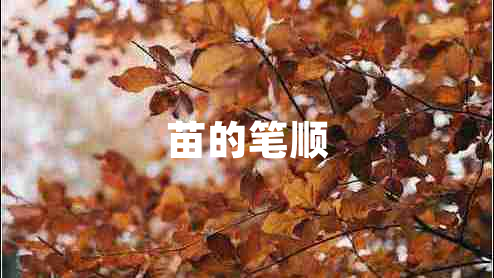 苗的筆順