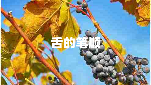 舌的筆順