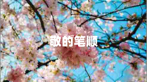 敬的筆順