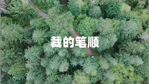 裁的筆順