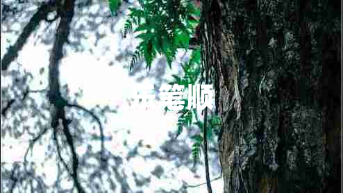 樂(lè )筆順