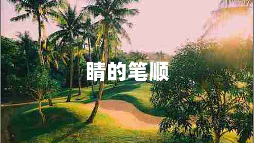 睛的筆順