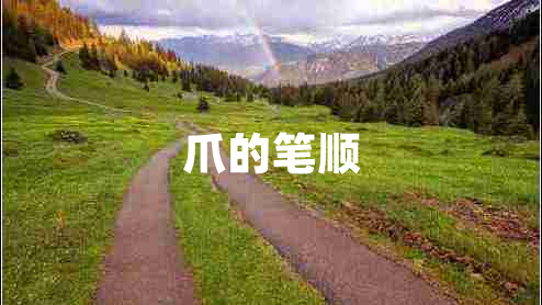 爪的筆順