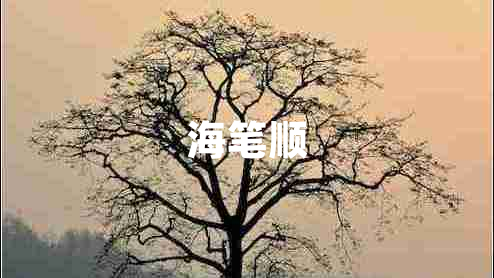 海筆順