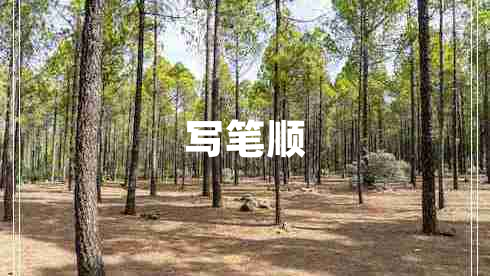 寫(xiě)筆順
