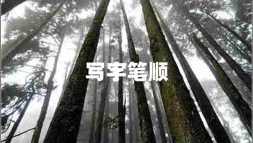 寫(xiě)字筆順