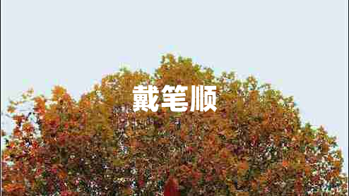 戴筆順