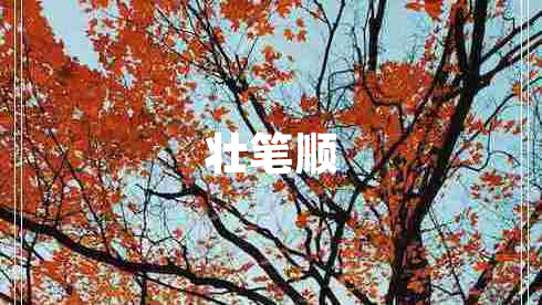 壯筆順