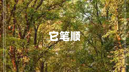 它筆順