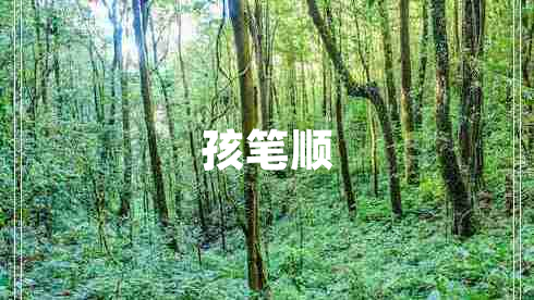 孩筆順