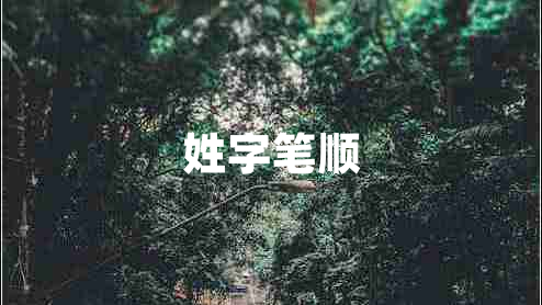 姓字筆順
