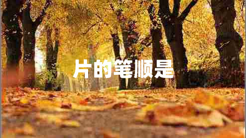片的筆順是