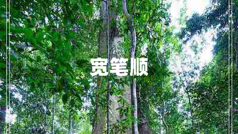 寬筆順
