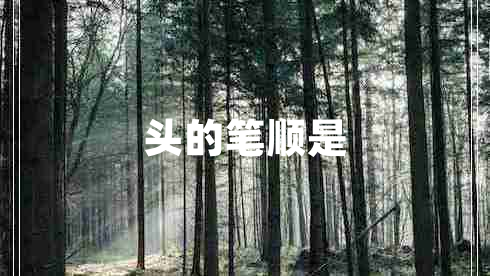 頭的筆順是