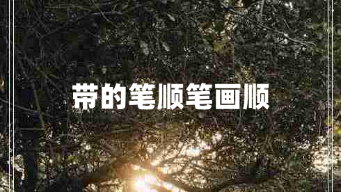 帶的筆順筆畫(huà)順