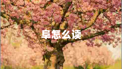阜怎么讀