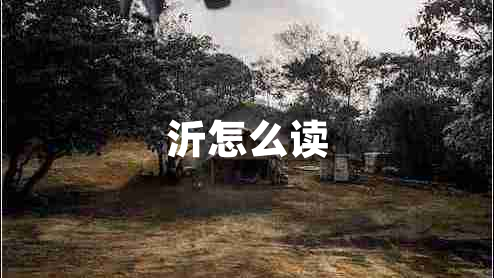 沂怎么讀