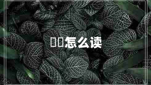 蒟蒻怎么讀