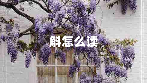 斛怎么讀