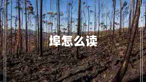 埠怎么讀