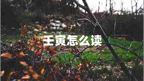壬寅怎么讀