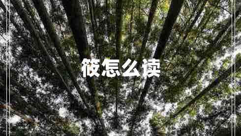 筱怎么讀