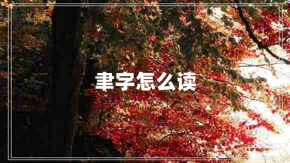 聿字怎么讀