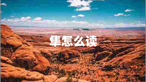 隼怎么讀