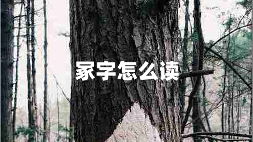 冢字怎么讀