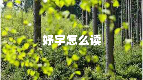 妤字怎么讀