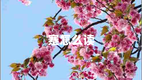 蹇怎么讀