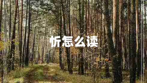 忻怎么讀