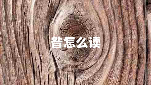 昝怎么讀