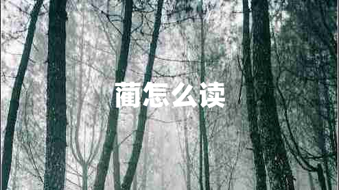 藺怎么讀