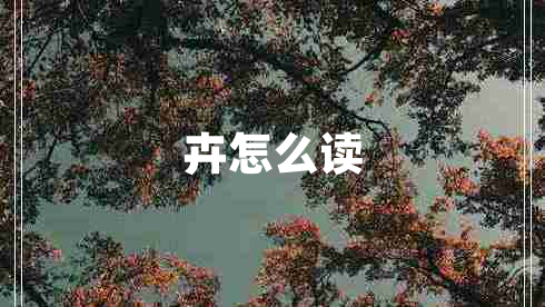 卉怎么讀