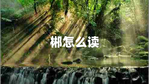 郴怎么讀