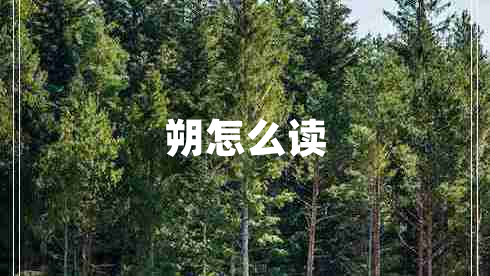 朔怎么讀