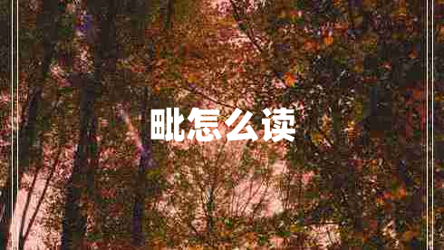 毗怎么讀