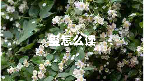 璽怎么讀