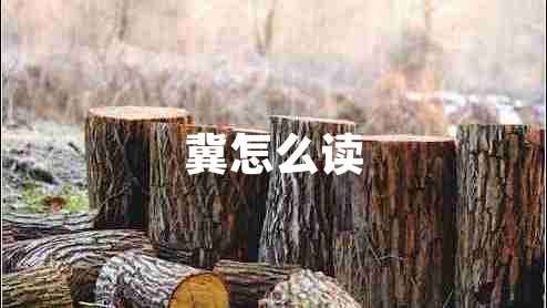 冀怎么讀