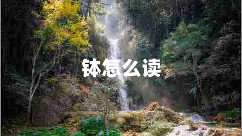 缽怎么讀