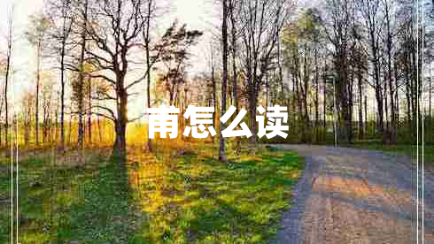 甫怎么讀