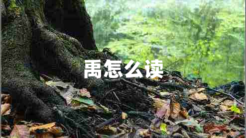 禹怎么讀