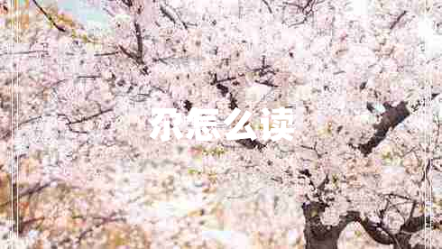 尕怎么讀