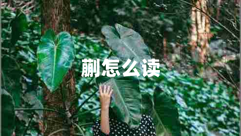蒯怎么讀