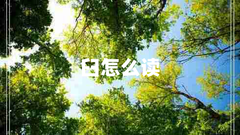 臼怎么讀
